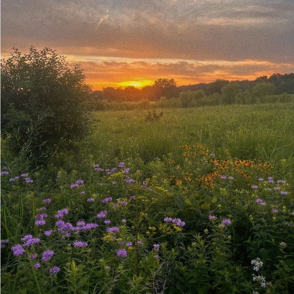 Meet your Posher, Shannon - Picture 5 of 6